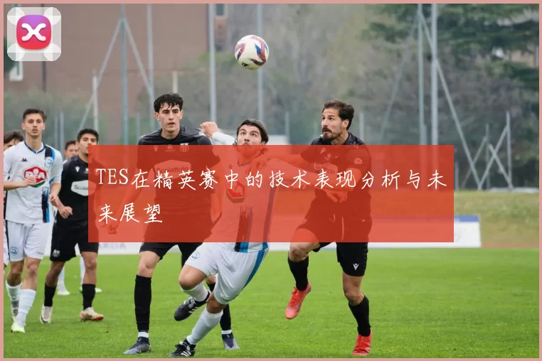 TES在精英赛中的技术表现分析与未来展望