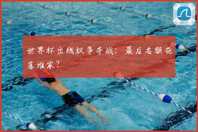 世界杯出线权争夺战：最后名额花落谁家？