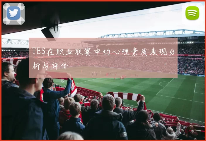 TES在职业联赛中的心理素质表现分析与评价