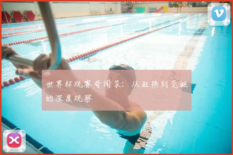 世界杯观赛奇闻录：从狂热到荒诞的深度观察