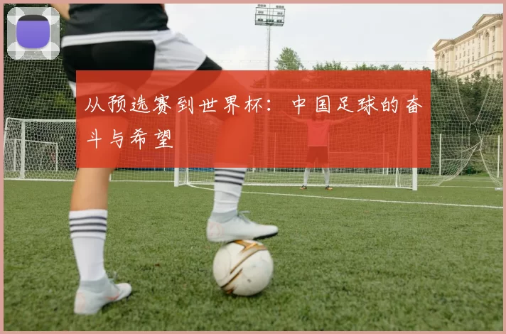 从预选赛到世界杯：中国足球的奋斗与希望