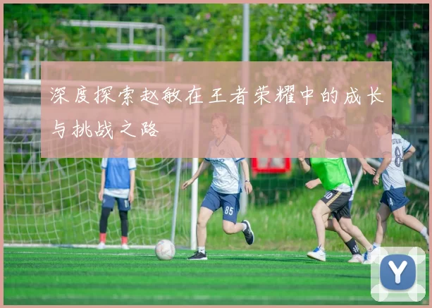 深度探索赵敏在王者荣耀中的成长与挑战之路