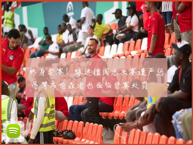 终身禁赛!球迷擅闯总决赛遭严惩 辱骂布伦森者也面临禁赛处罚