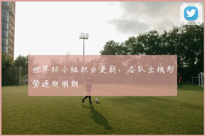 世界杯小组积分更新,各队出线形势逐渐明朗