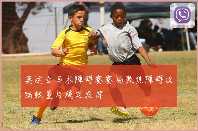 奥运会马术障碍赛赛场聚焦障碍攻防较量与稳定发挥