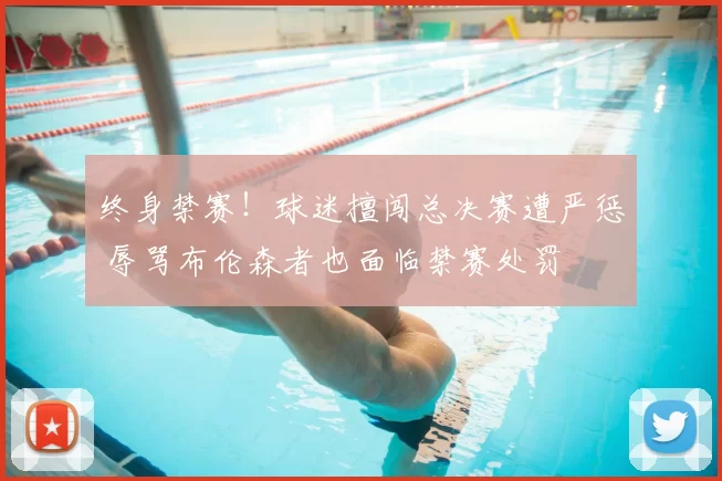终身禁赛!球迷擅闯总决赛遭严惩 辱骂布伦森者也面临禁赛处罚
