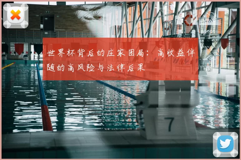 世界杯背后的庄家困局：高收益伴随的高风险与法律后果