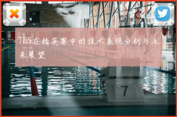 TES在精英赛中的技术表现分析与未来展望
