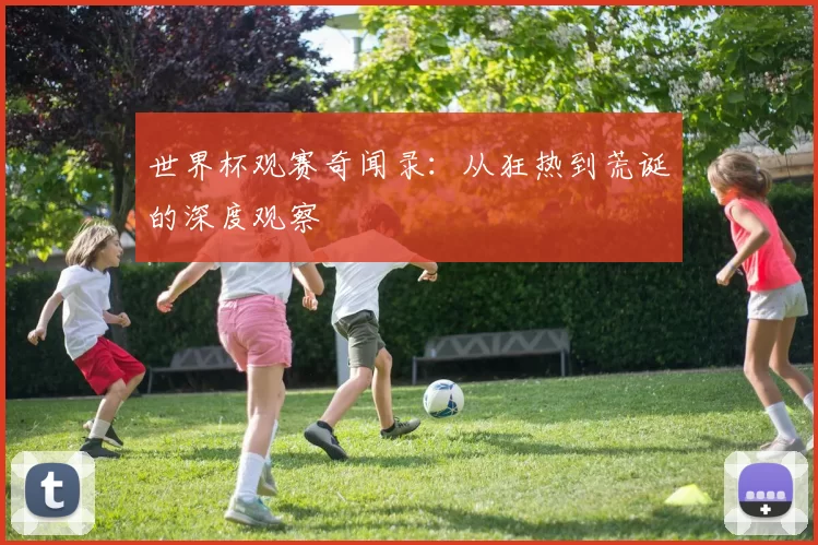 世界杯观赛奇闻录：从狂热到荒诞的深度观察