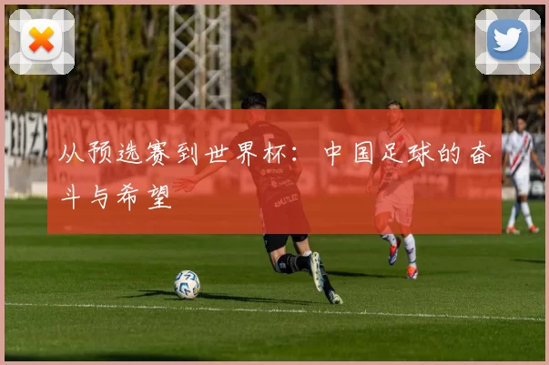 从预选赛到世界杯:中国足球的奋斗与希望