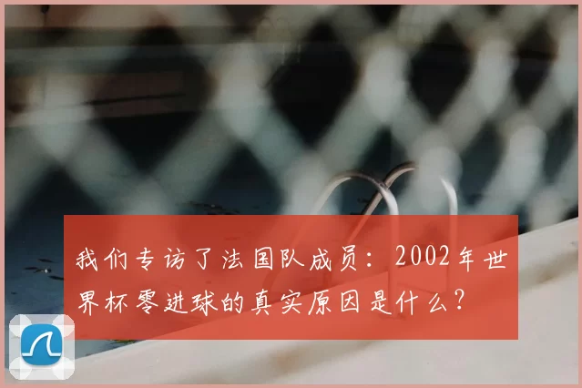 我们专访了法国队成员:2002年世界杯零进球的真实原因是什么?