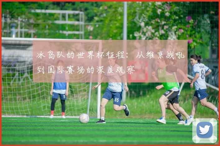 冰岛队的世界杯征程：从维京战吼到国际赛场的深度观察