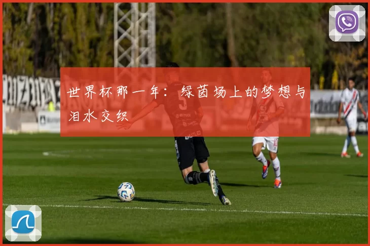 世界杯那一年：绿茵场上的梦想与泪水交织