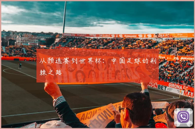 从预选赛到世界杯：中国足球的荆棘之路