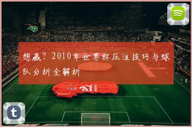 想赢？2010年世界杯压注技巧与球队分析全解析