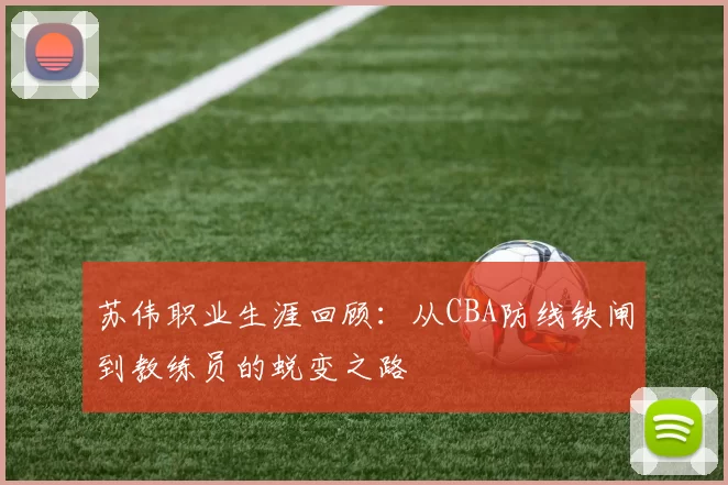 苏伟职业生涯回顾:从CBA防线铁闸到教练员的蜕变之路