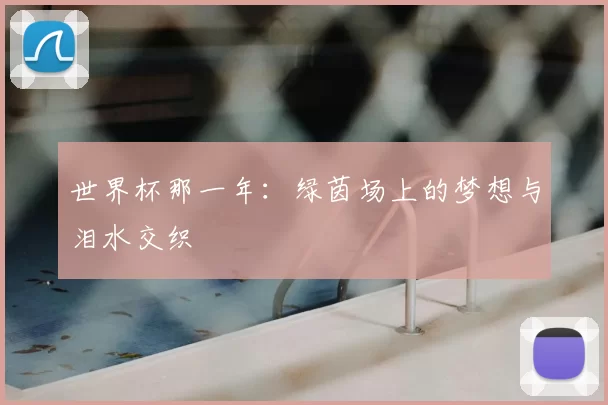 世界杯那一年:绿茵场上的梦想与泪水交织