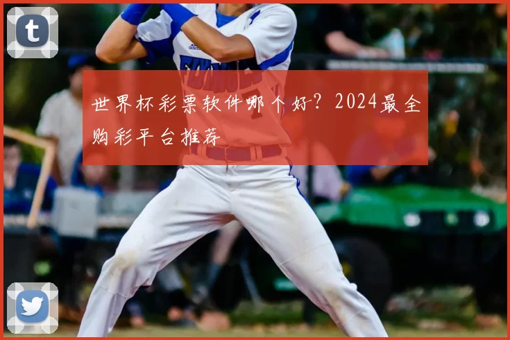 世界杯彩票软件哪个好?2024最全购彩平台推荐