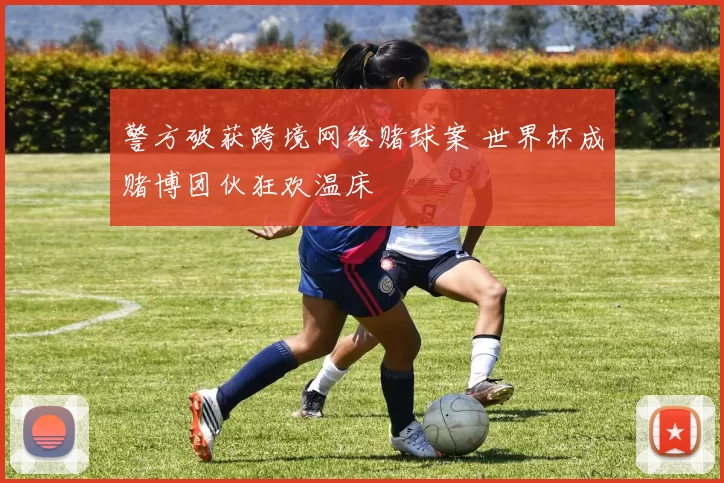 警方破获跨境网络赌球案 世界杯成赌博团伙狂欢温床
