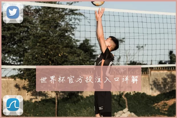 世界杯官方投注入口详解