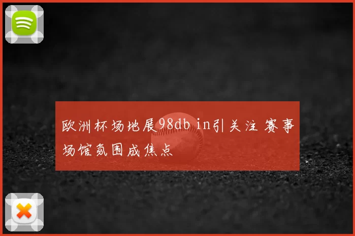 欧洲杯场地展98db in引关注 赛事场馆氛围成焦点