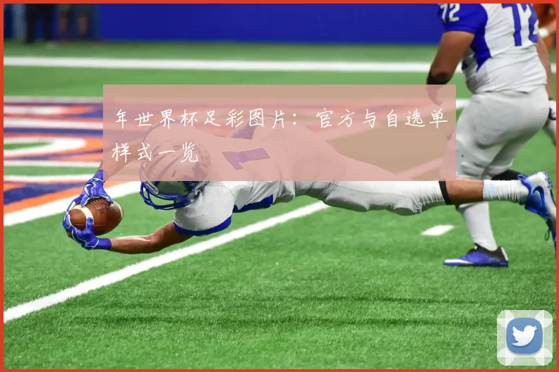 年世界杯足彩图片：官方与自选单样式一览